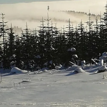 Anna Lejlighed Winterberg