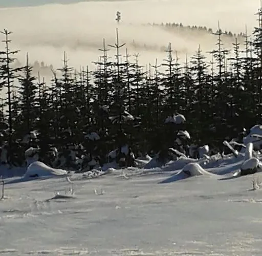 Anna Lejlighed Winterberg